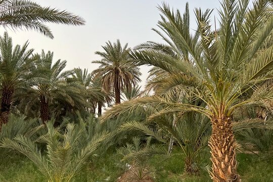 Tour image 12